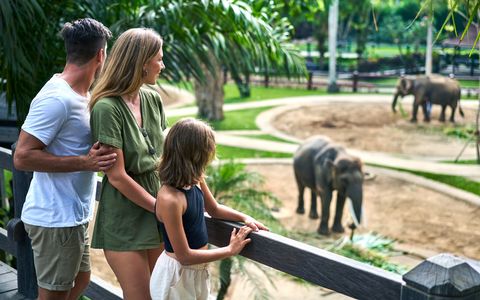 MASON Elephant Park Tour