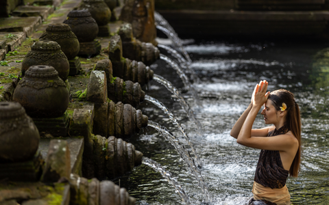 UBUD TOUR - Meet Art & Spirit of Ubud