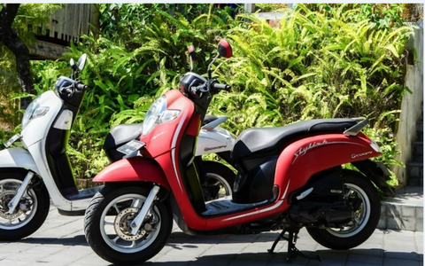 Scoopy Special Deal: 10% Off on 3-Day Rental