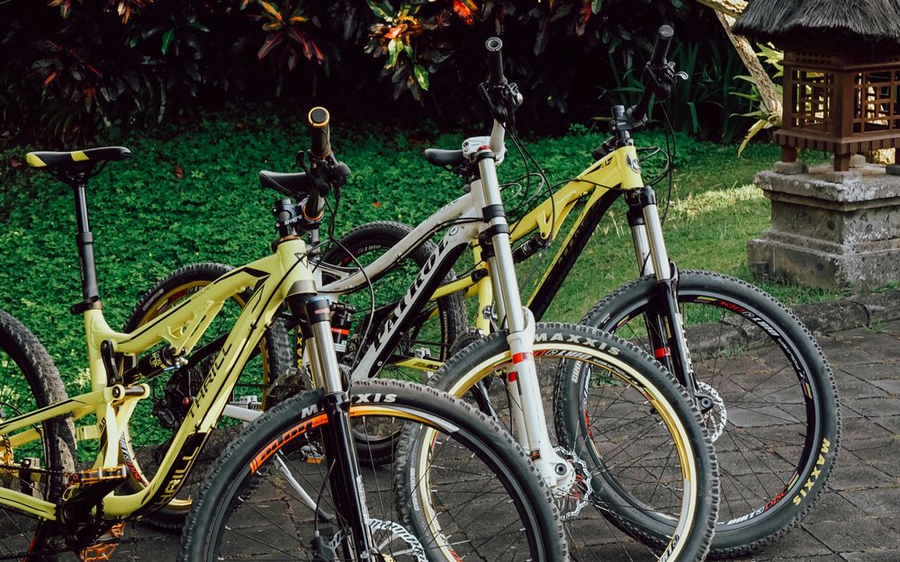 Cycling Tour