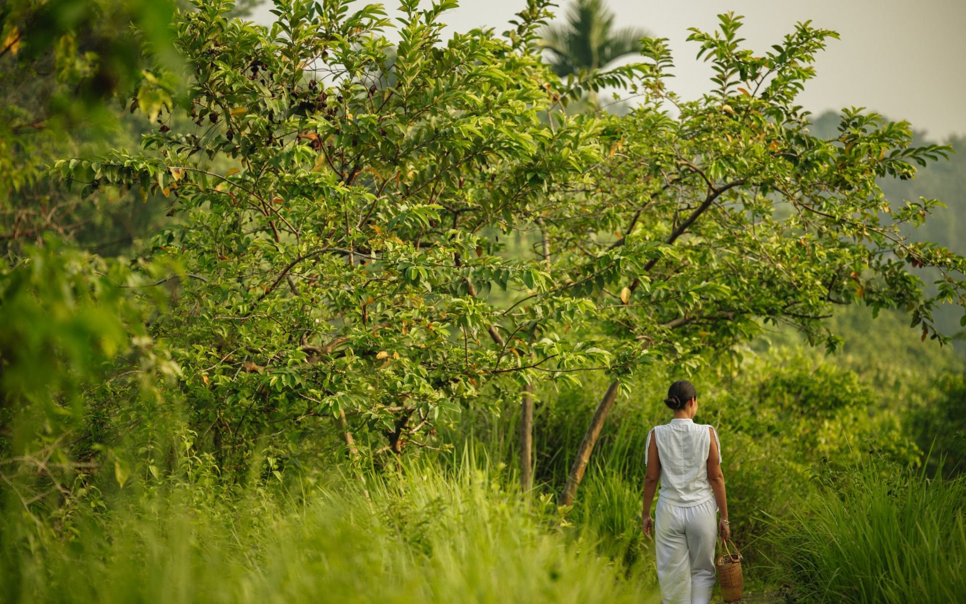 Half Day Tours (4 Hours) - Alaya Resort Ubud