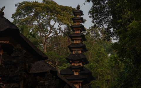 Full Day Tours (8 Hours)