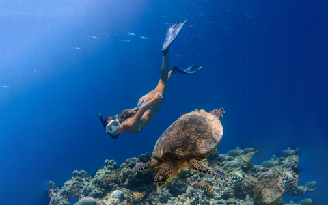 Private Snorkeling & Relaxation Package