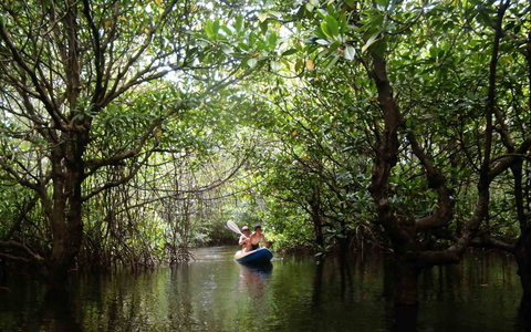 Nusa Lembongan Experience Day Trip