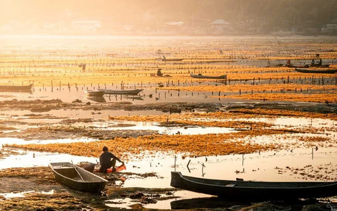 Nusa Lembongan Experience Day Trip