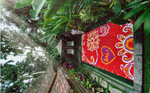 Flower Decoration on Pool