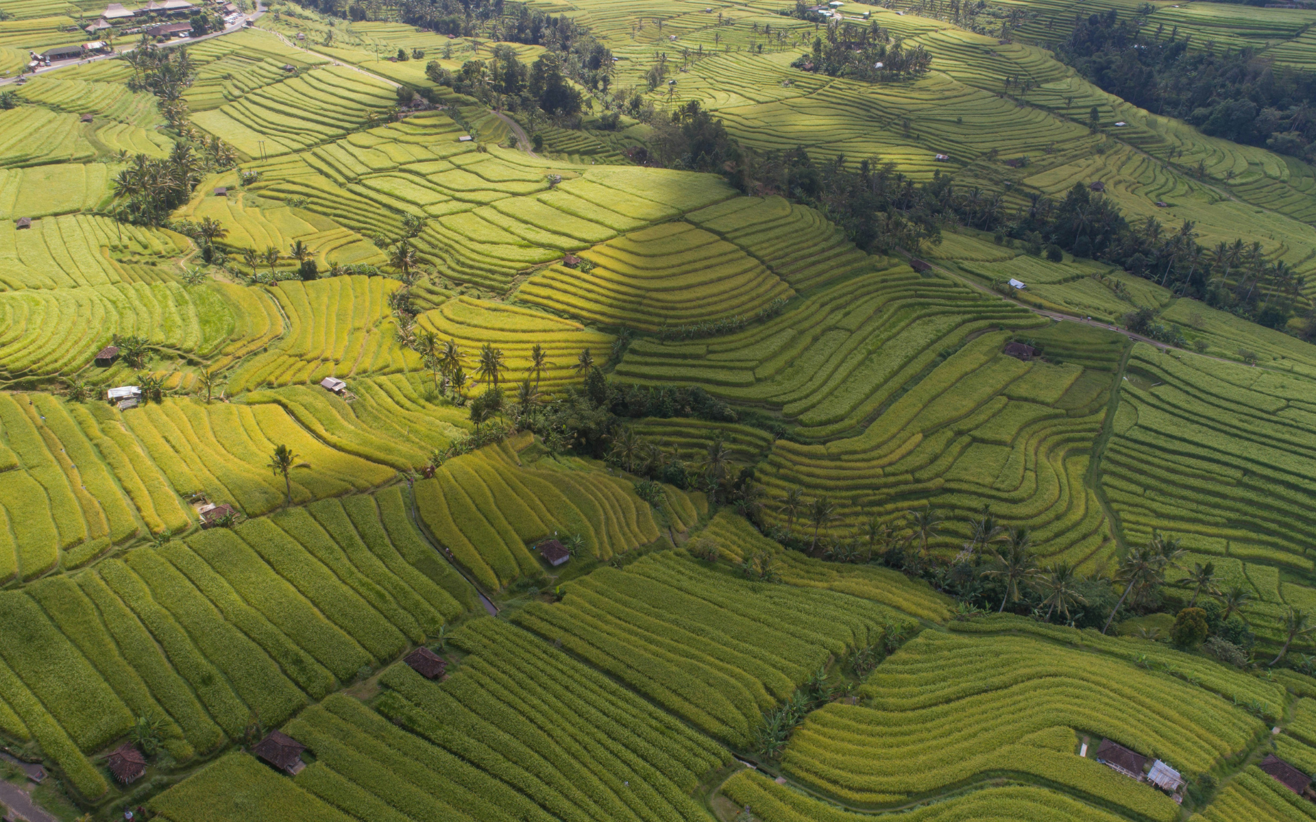 Full Day West North Bali Tour - Pramana Watu Kurung