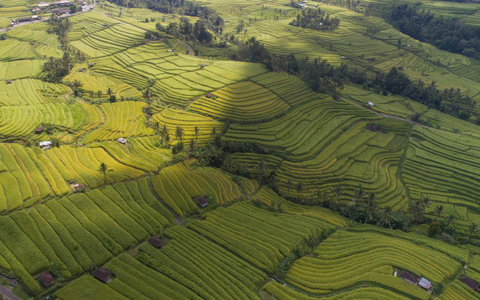 Full Day West North Bali Tour