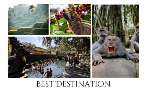 Private Half Day Tour Service (Max 4-5 Hours)