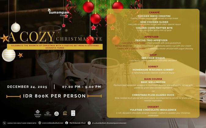 A Cozy Christmas Eve