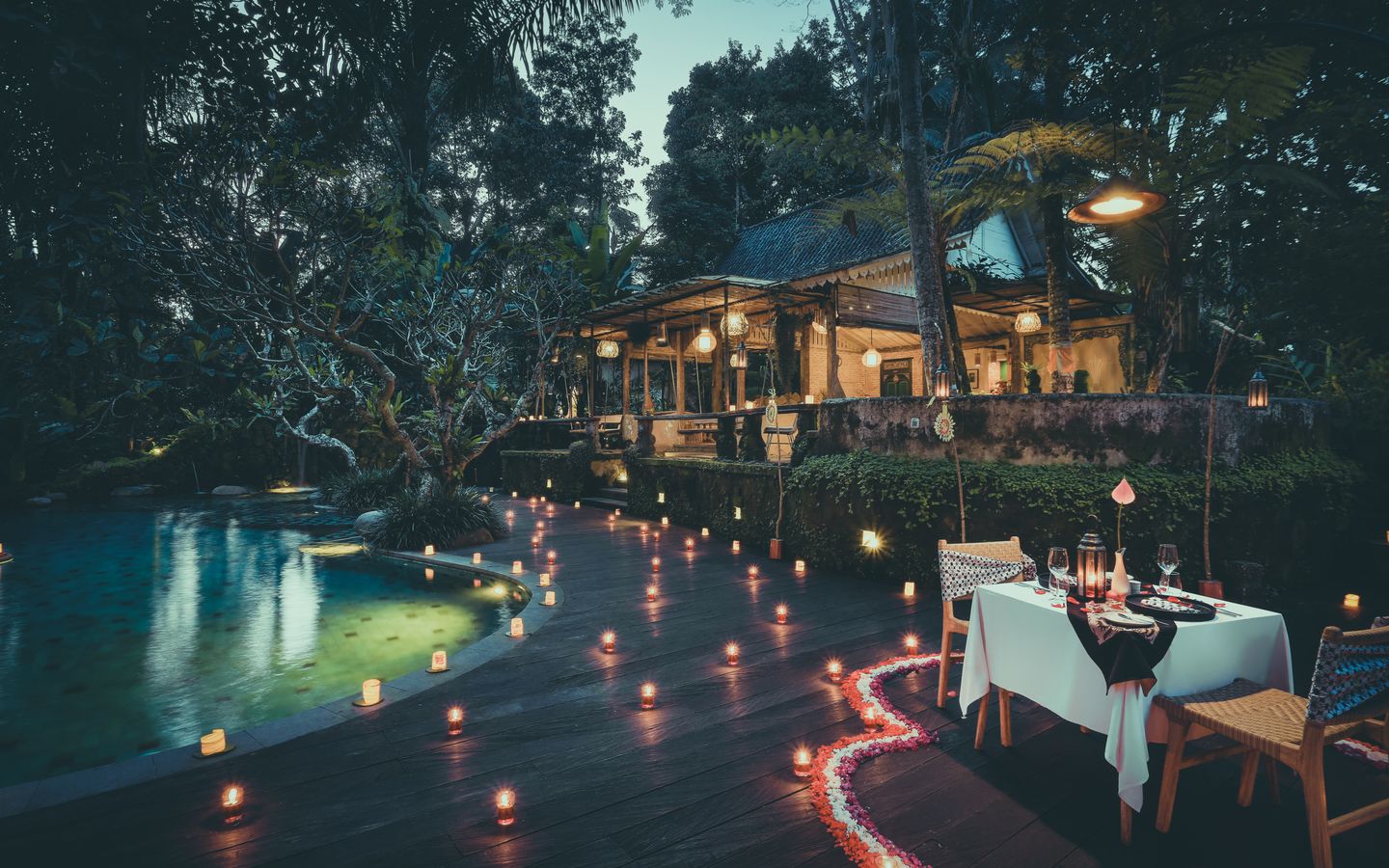 FIRE OF LOVE ROMANTIC DINNER