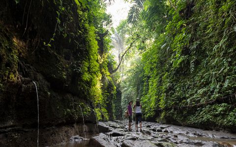 CANYON TREKKING