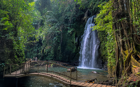 Full day Ubud tour : A Journey Through Art and Spirit in Ubud