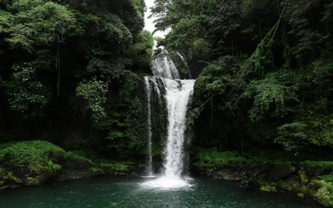 Full day Ubud tour : A Journey Through Art and Spirit in Ubud