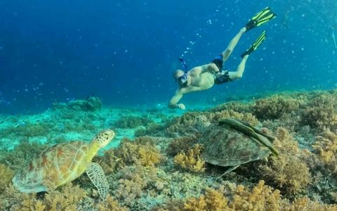 Private Snorkeling 4 hours