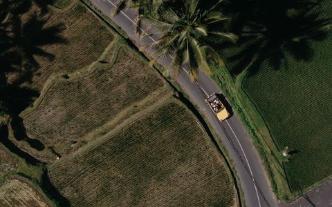 Discover More with a VW Classic Half Day Tour