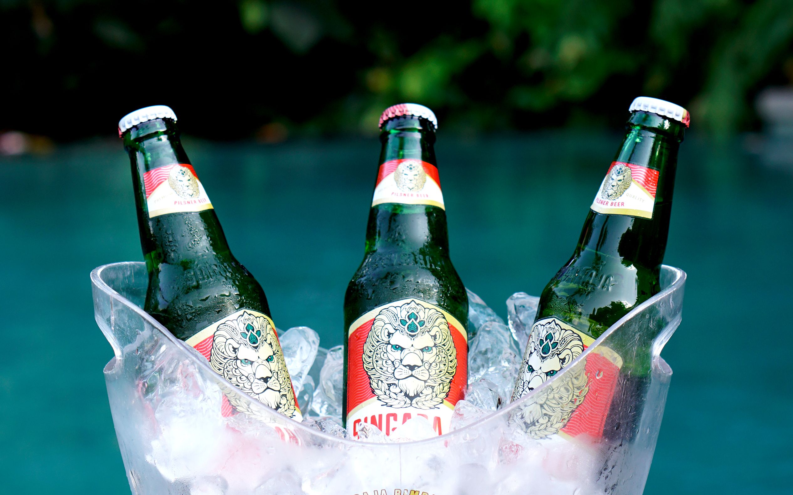 More Beers More Cheers - Adiwana Suweta