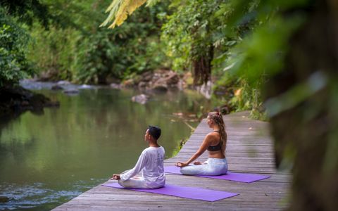 Private Yoga or Meditation Class - 60-minute