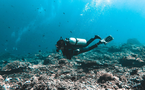 Discovery Scuba Diving