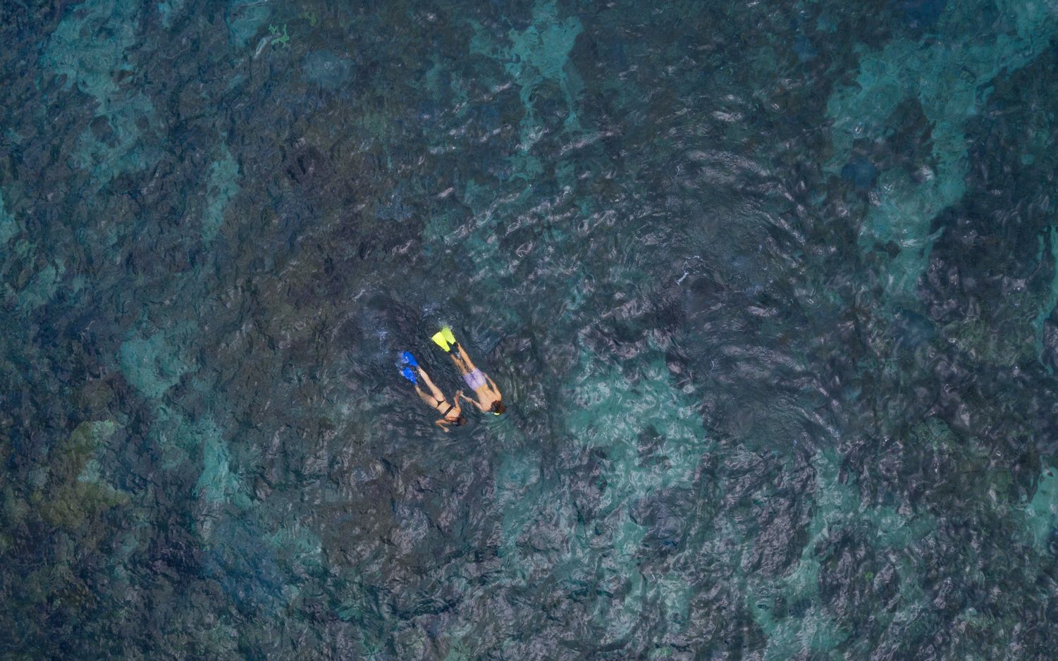 Snorkeling at Manta Point