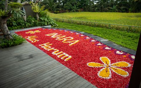 FLOWER POOL DECORATION (EXCLUSIVE FOR ONE-BEDROOM POOL VILLA)