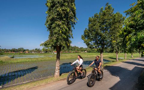 Unagi Cycling Tour