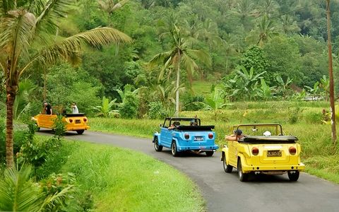 VW Tours 8 hours