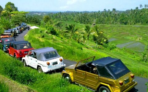 VW Tours 8 hours