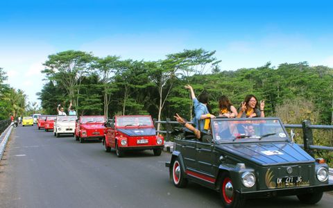 VW Tours 8 hours
