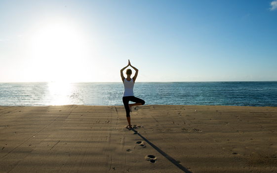 Yoga & Wellness