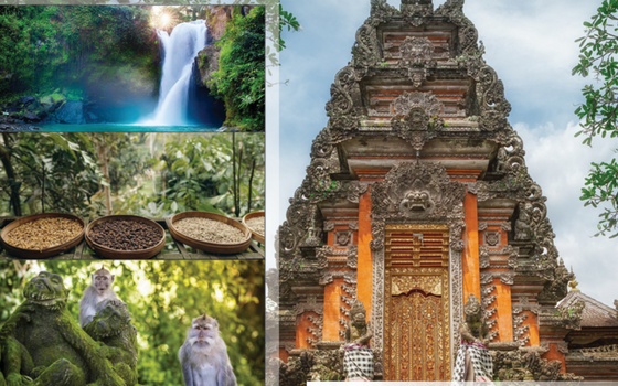 8 hours Ubud Private Tour