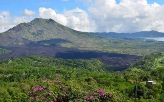 Ubud-Kintamani Tour
