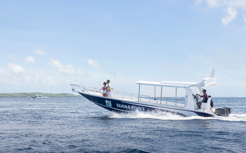 Best Offer Today! Private Snorkeling South and West Marine Life - 2 to 2,5 Hours Trips