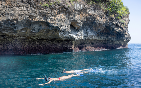 Best Offer Today! Private Snorkeling South and West Marine Life - 2 to 2,5 Hours Trips