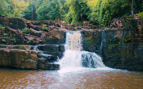 Klong Yai Kee Waterfall Jungle Trek