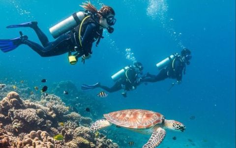 Diving Experience (with License)