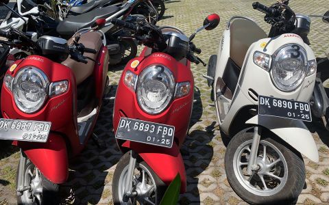 Rental Scooter (regular)