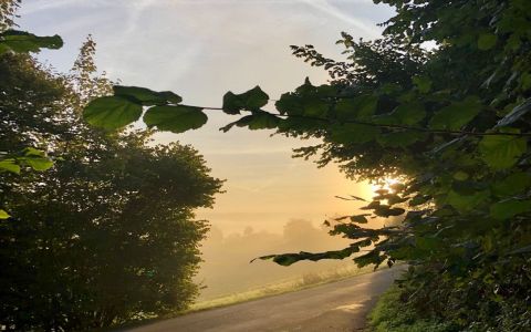 Fitness village and sunrise walk